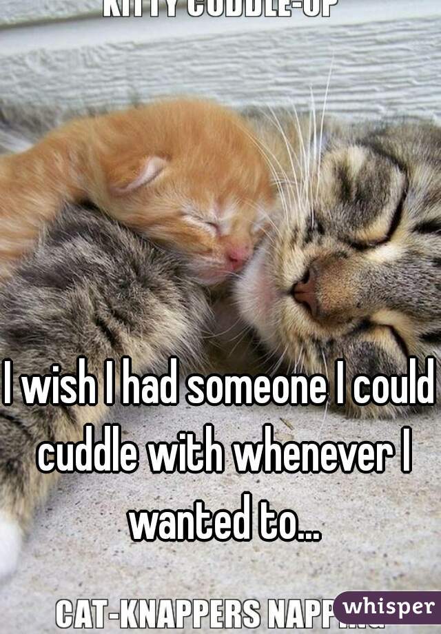 I wish I had someone I could cuddle with whenever I wanted to...