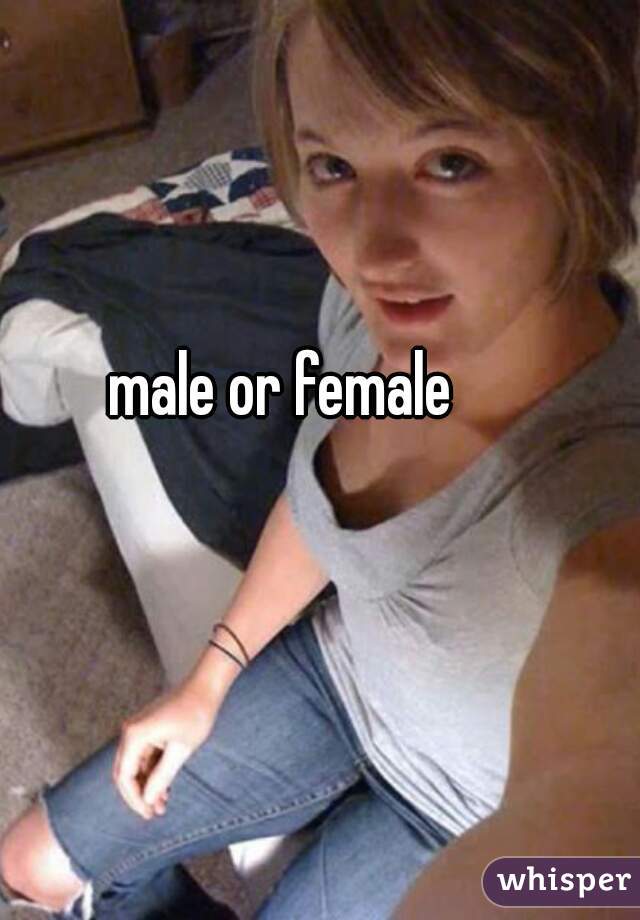 male or female