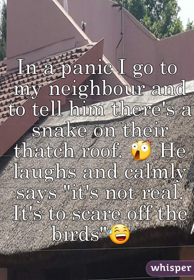 In a panic I go to my neighbour and to tell him there's a snake on their thatch roof. 😲 He laughs and calmly says "it's not real. It's to scare off the birds"😅    