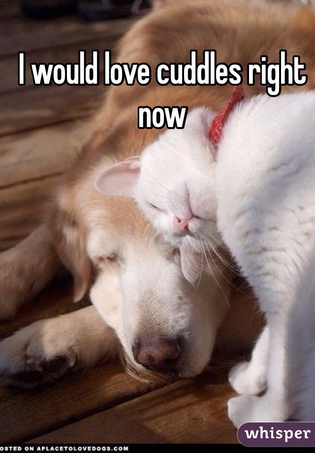 I would love cuddles right now