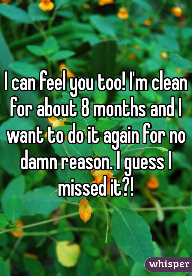 I can feel you too! I'm clean for about 8 months and I want to do it again for no damn reason. I guess I missed it?!