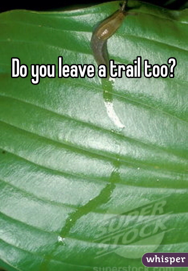 Do you leave a trail too?