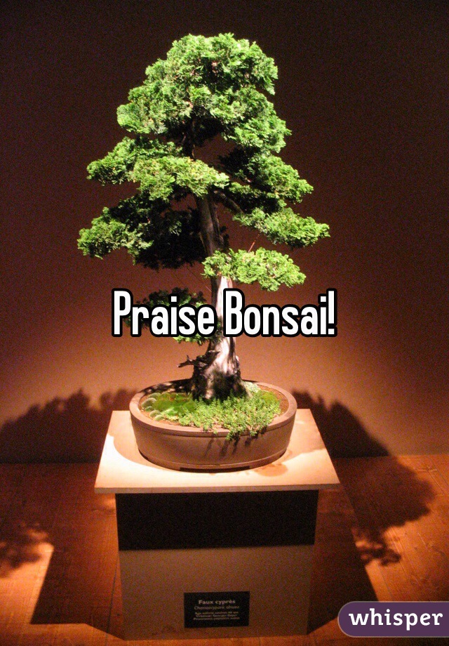 Praise Bonsai!