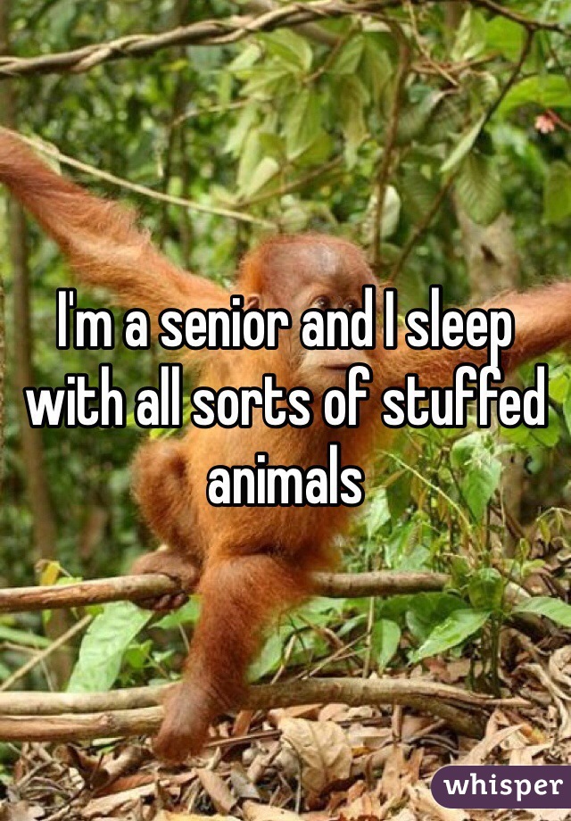 I'm a senior and I sleep with all sorts of stuffed animals
