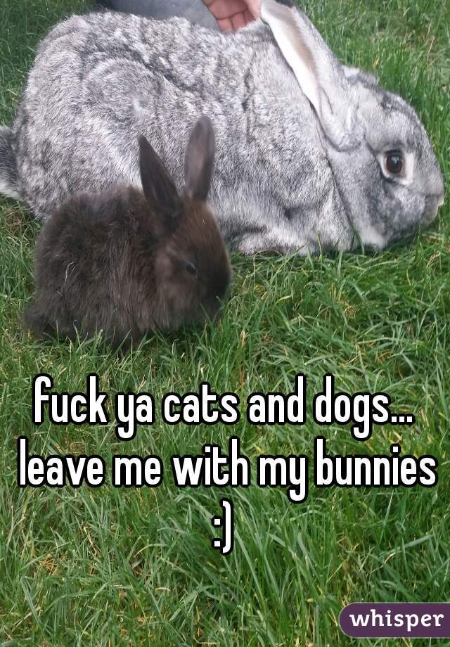 fuck ya cats and dogs... leave me with my bunnies :) 