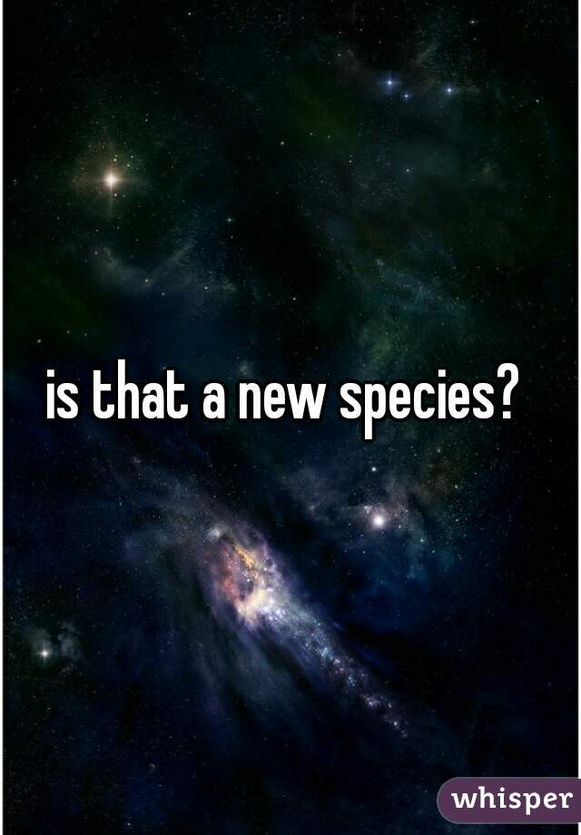 is that a new species? 