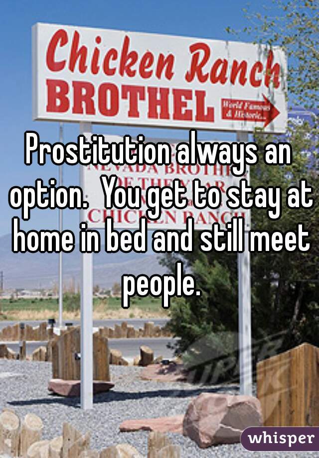 Prostitution always an option.  You get to stay at home in bed and still meet people.