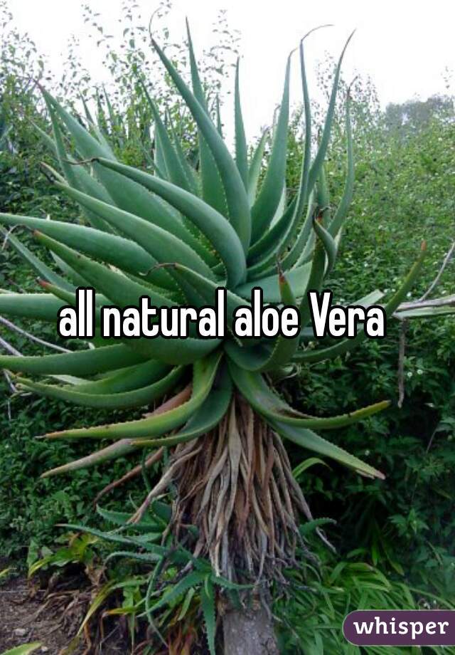 all natural aloe Vera 