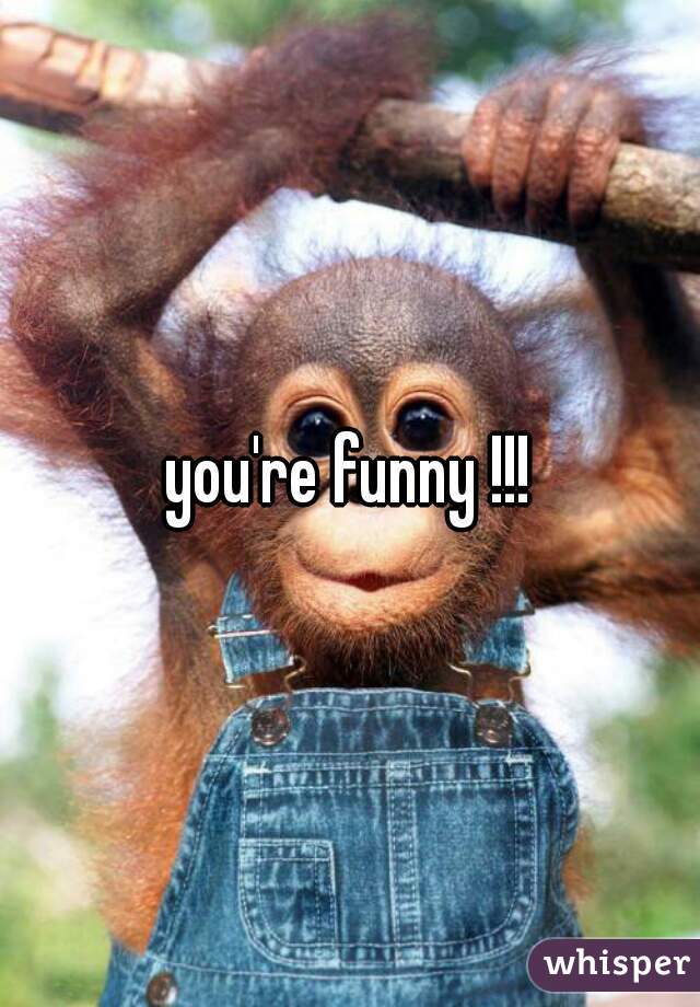 you're funny !!!
