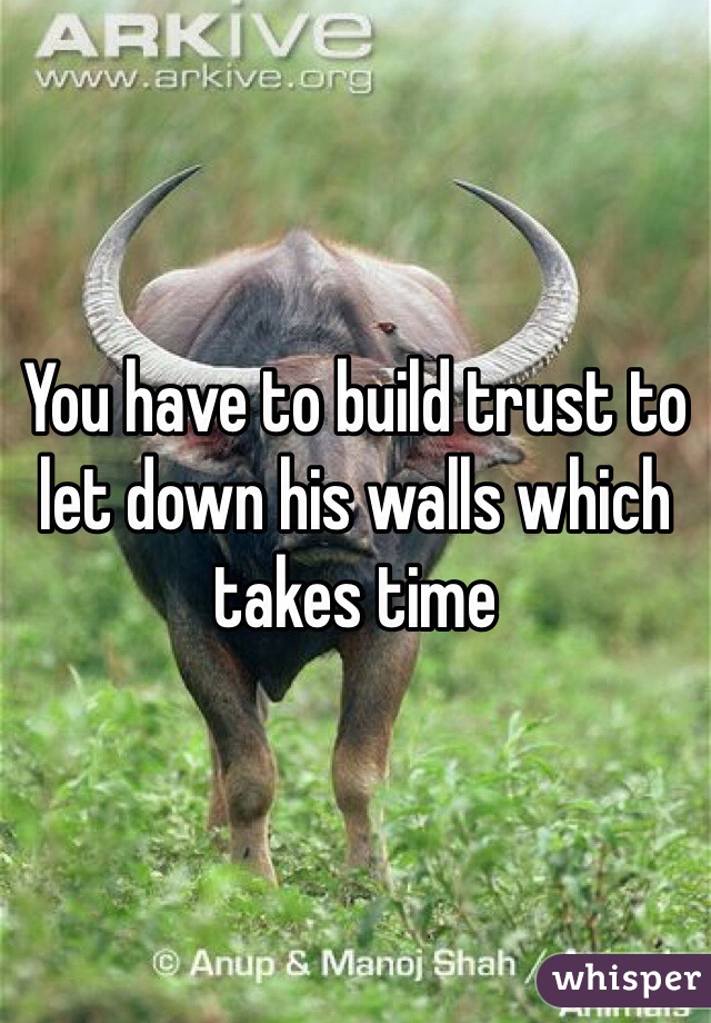 You have to build trust to let down his walls which takes time 