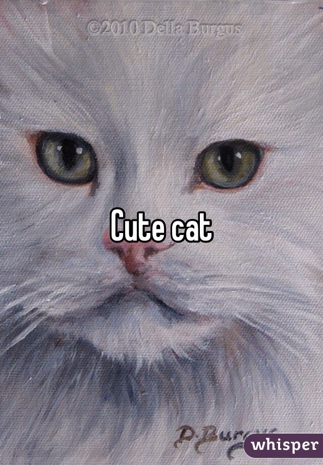 Cute cat 