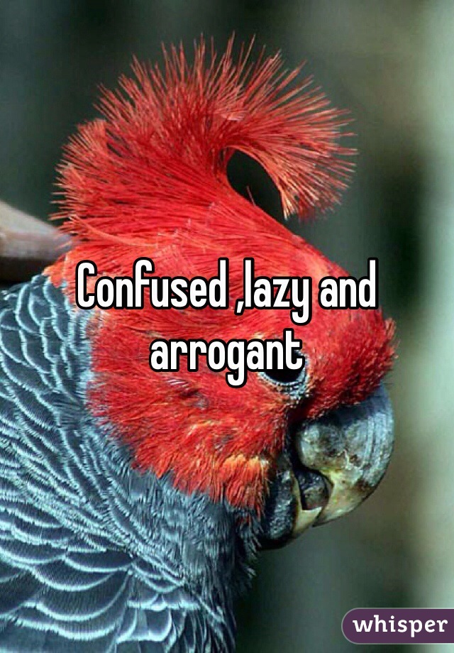 Confused ,lazy and arrogant 