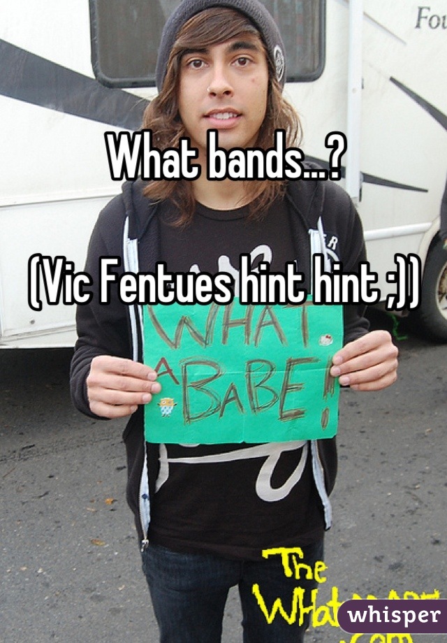 What bands...?

(Vic Fentues hint hint ;))