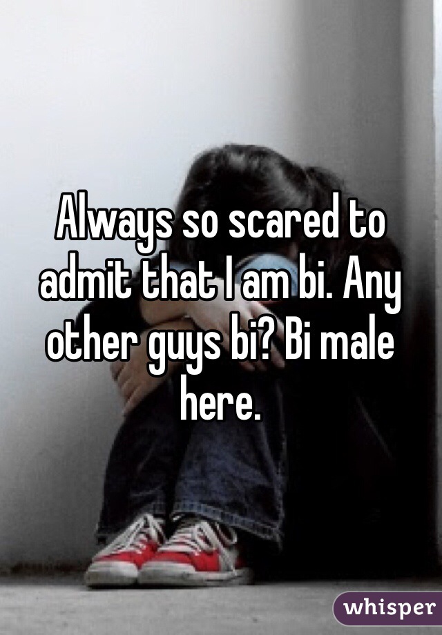 Always so scared to admit that I am bi. Any other guys bi? Bi male here. 