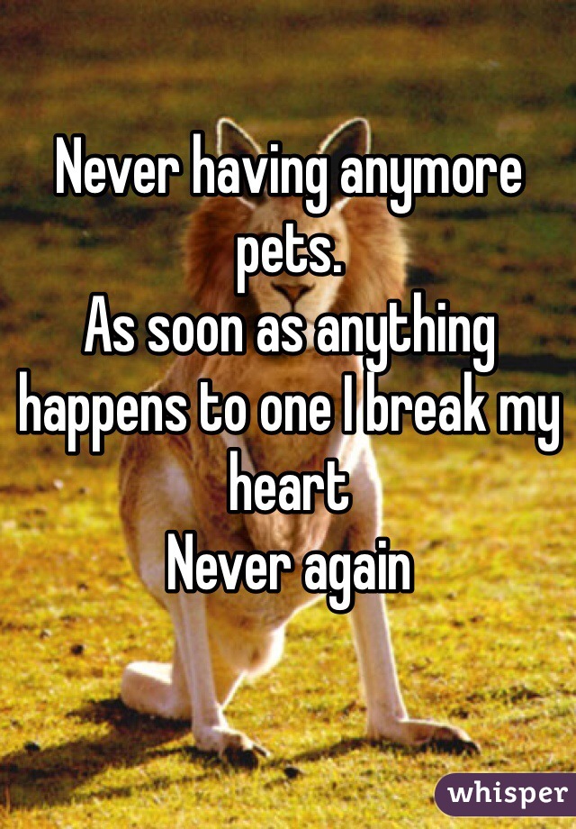 Never having anymore pets. 
As soon as anything happens to one I break my heart
Never again