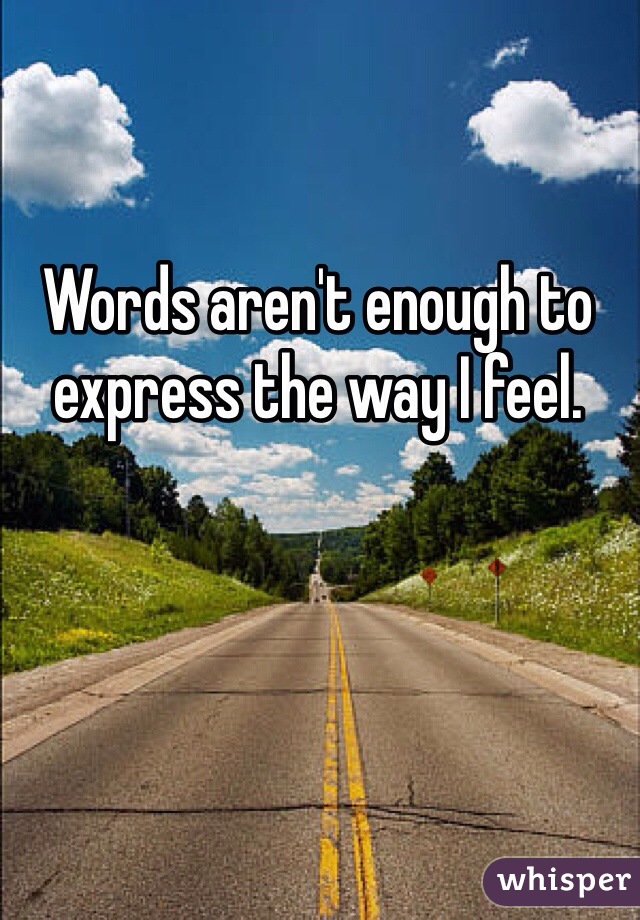 Words aren't enough to express the way I feel.