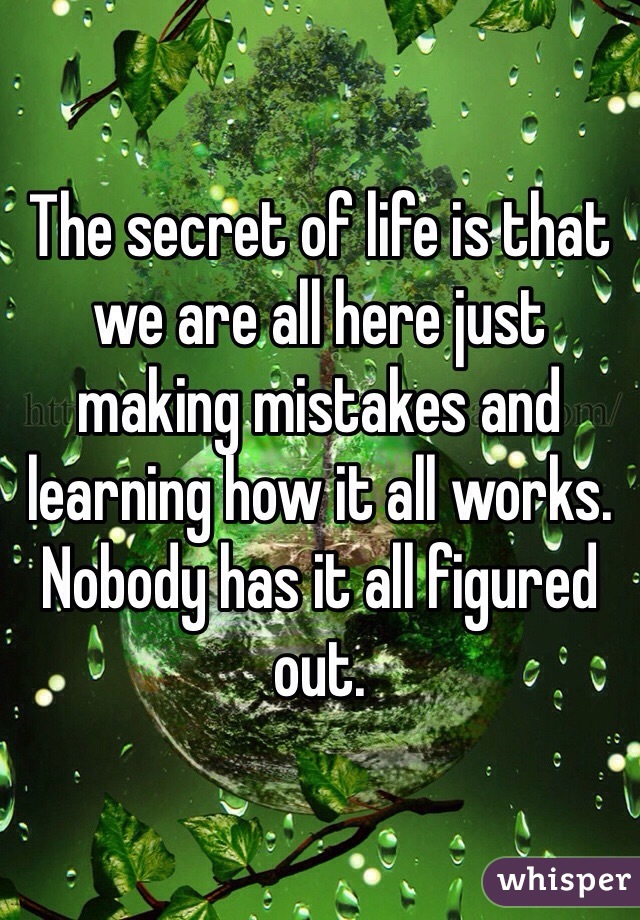 The secret of life is that we are all here just making mistakes and learning how it all works. Nobody has it all figured out. 