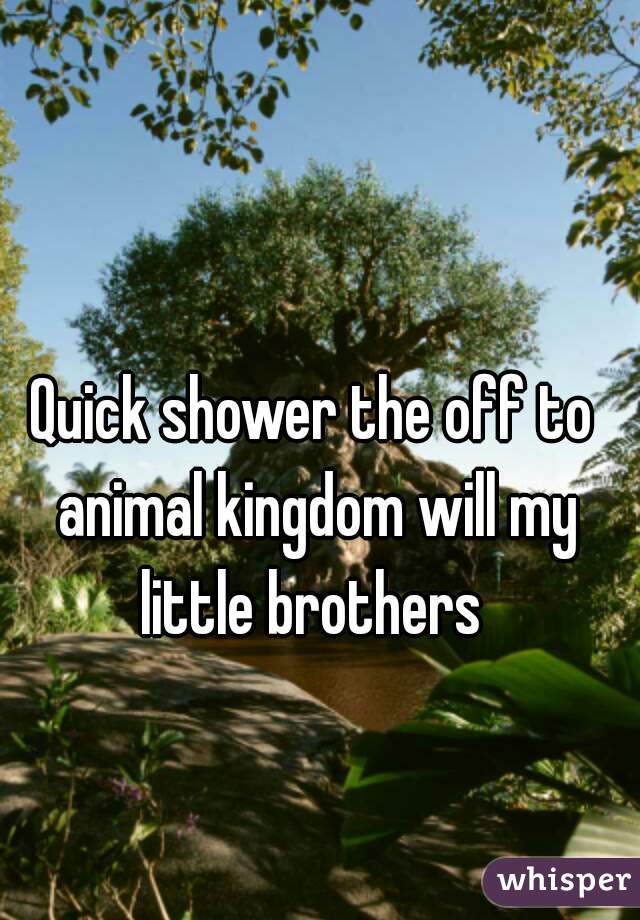 Quick shower the off to animal kingdom will my little brothers 
