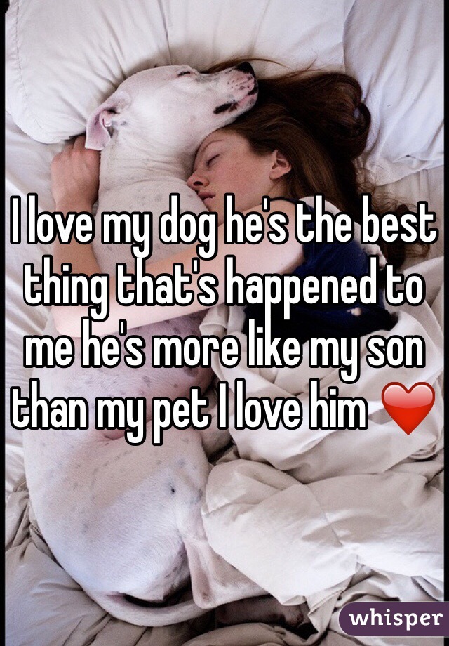 I love my dog he's the best thing that's happened to me he's more like my son than my pet I love him ❤️