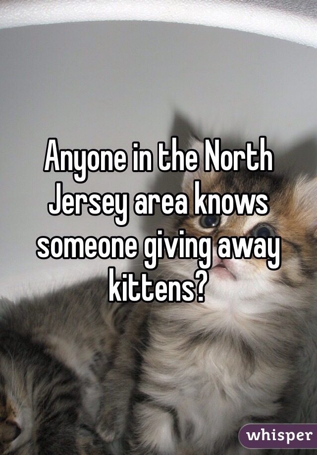 Anyone in the North Jersey area knows someone giving away kittens? 