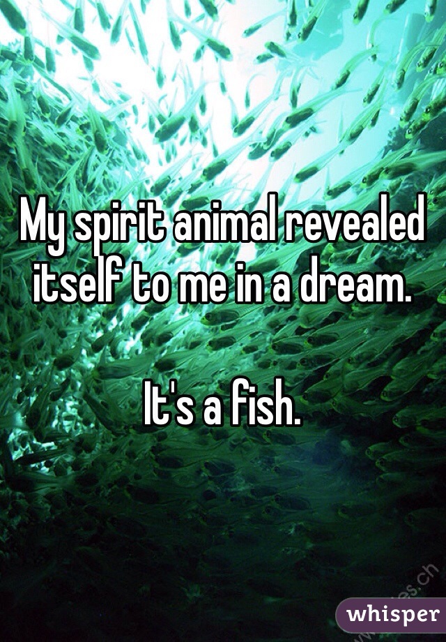 My spirit animal revealed itself to me in a dream.

It's a fish.