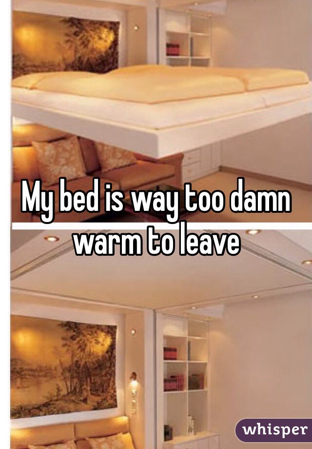 My bed is way too damn warm to leave