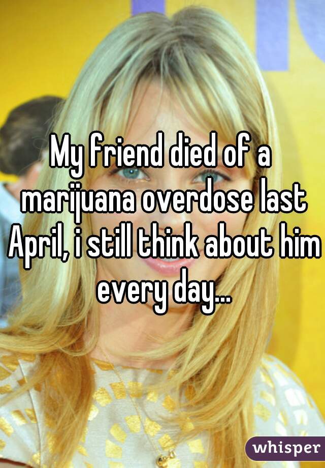 My friend died of a marijuana overdose last April, i still think about him every day...