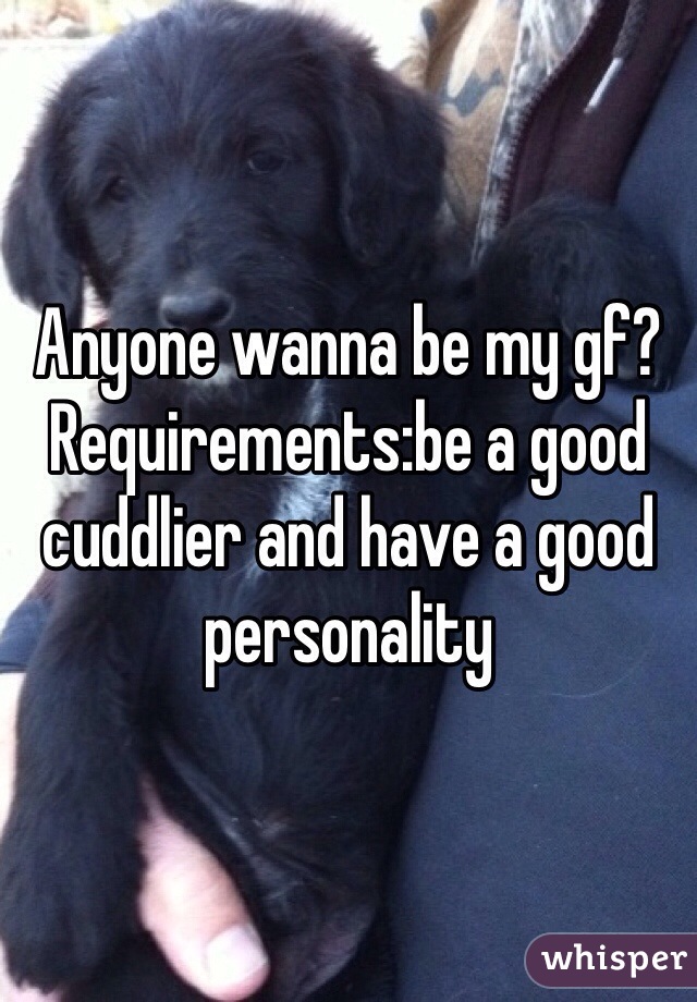 Anyone wanna be my gf?
Requirements:be a good cuddlier and have a good personality 