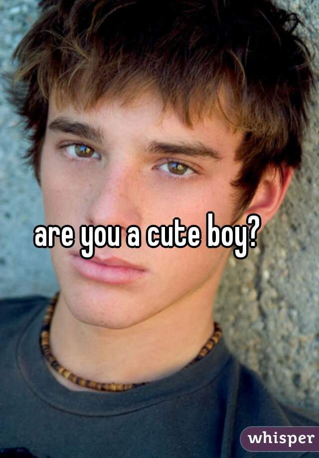 are you a cute boy?
