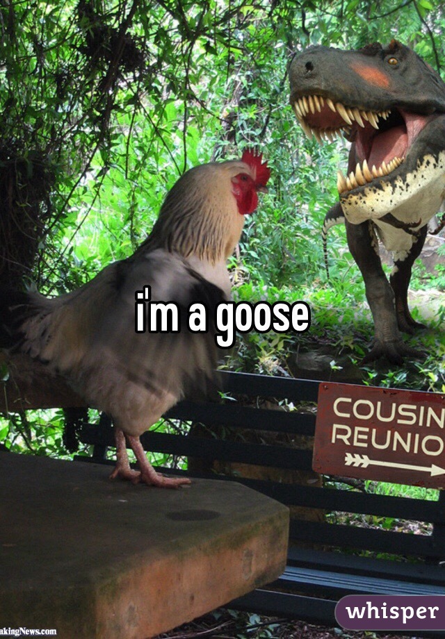 i'm a goose