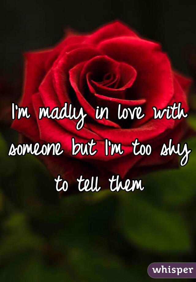 I'm madly in love with someone but I'm too shy to tell them