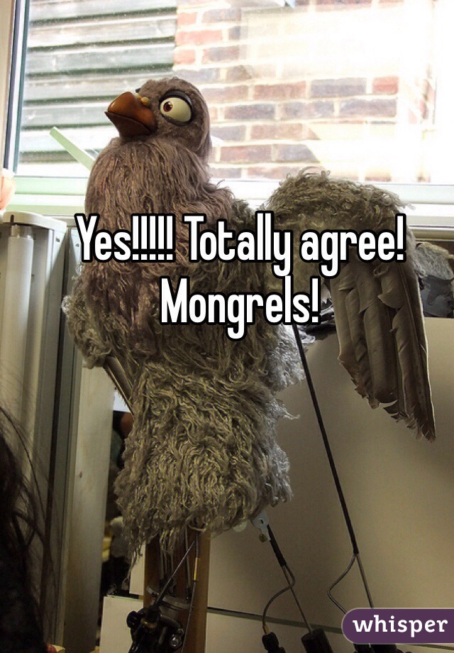 Yes!!!!! Totally agree! 
Mongrels!