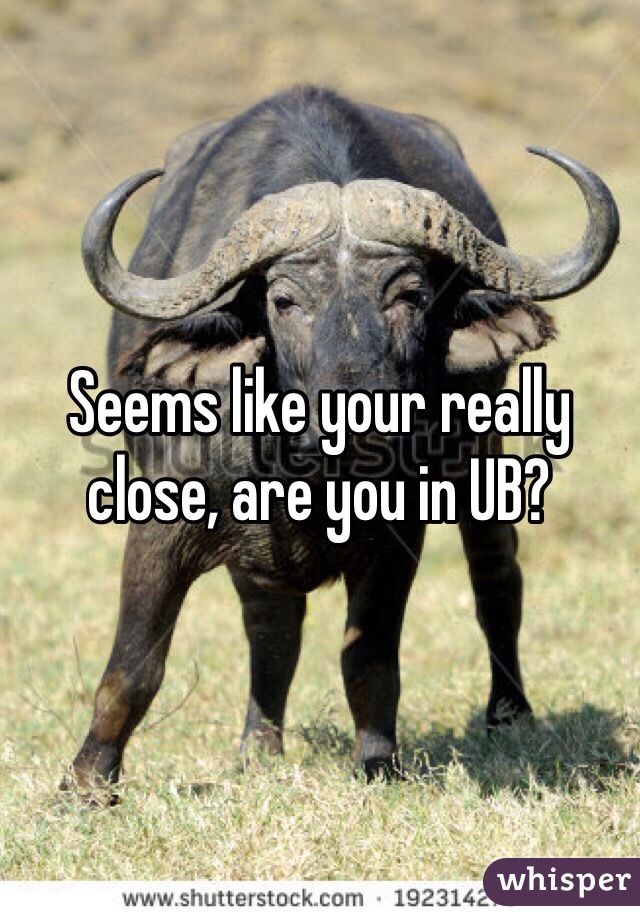 Seems like your really close, are you in UB? 