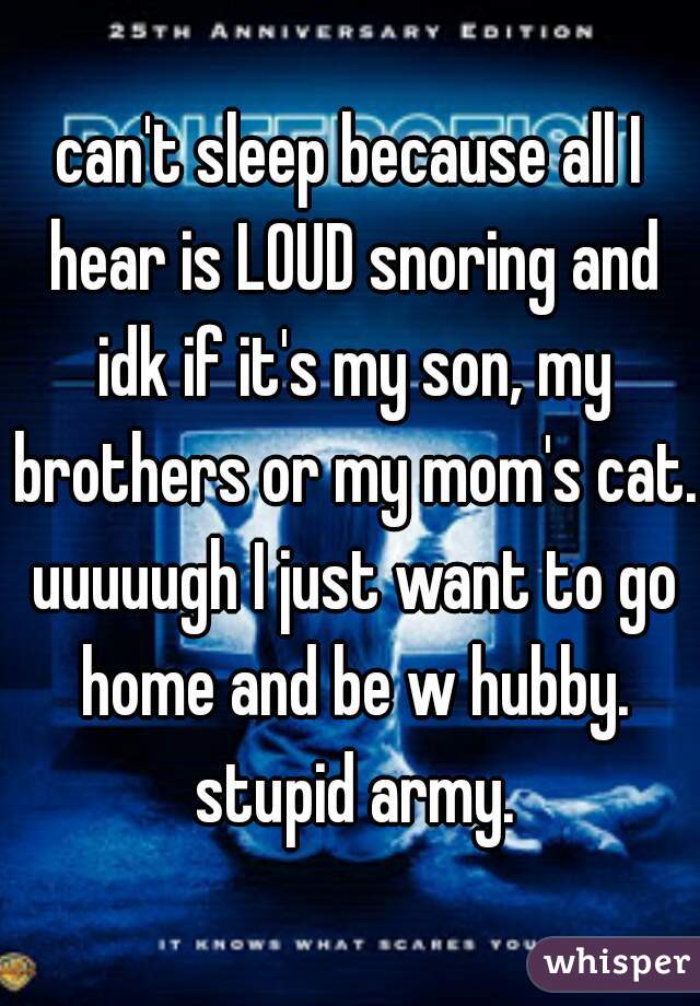 can't sleep because all I hear is LOUD snoring and idk if it's my son, my brothers or my mom's cat. uuuuugh I just want to go home and be w hubby. stupid army.