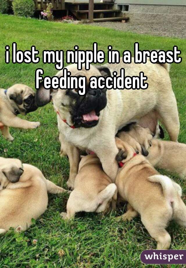 i lost my nipple in a breast feeding accident  