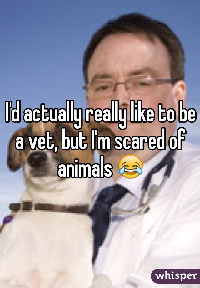 I'd actually really like to be a vet, but I'm scared of animals 😂