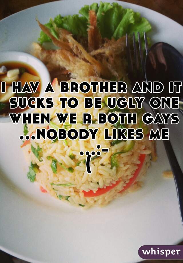 i hav a brother and it sucks to be ugly one when we r both gays ...nobody likes me ...:-( 