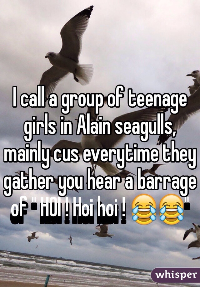 I call a group of teenage girls in Alain seagulls, mainly cus everytime they gather you hear a barrage of " HOI ! Hoi hoi ! 😂😂"
