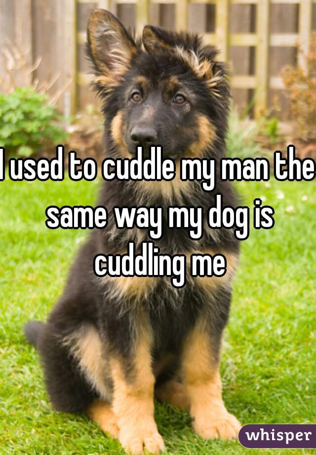 I used to cuddle my man the same way my dog is cuddling me