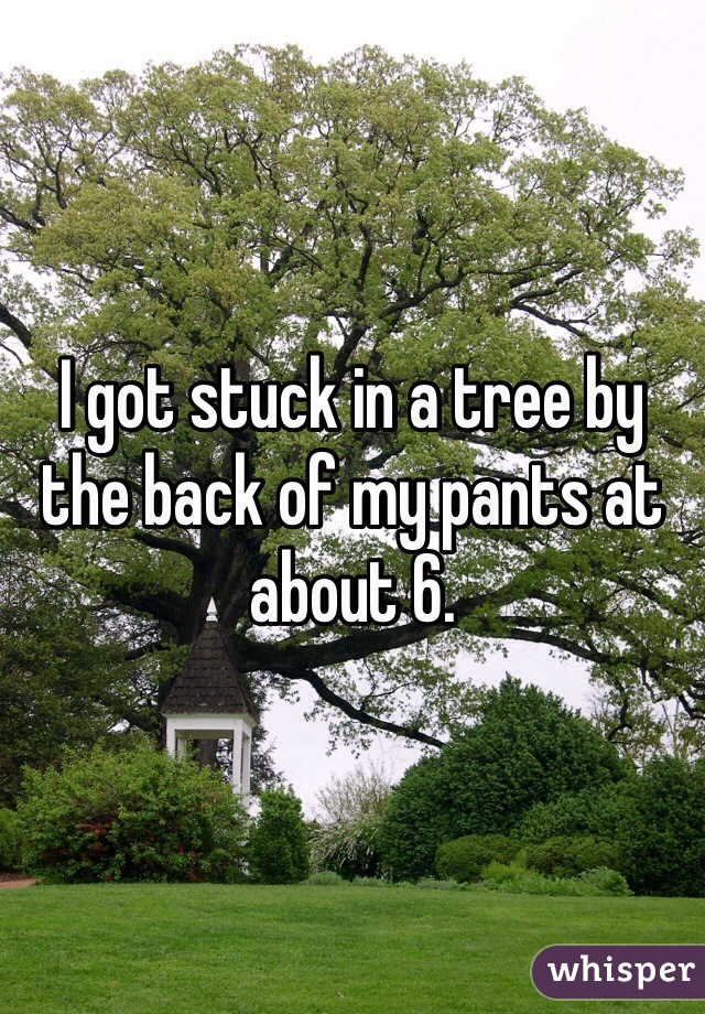 I got stuck in a tree by the back of my pants at about 6. 