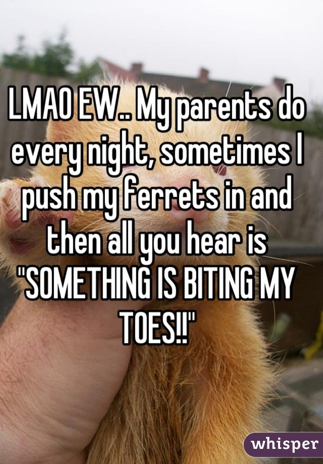 LMAO EW.. My parents do every night, sometimes I push my ferrets in and then all you hear is "SOMETHING IS BITING MY TOES!!"