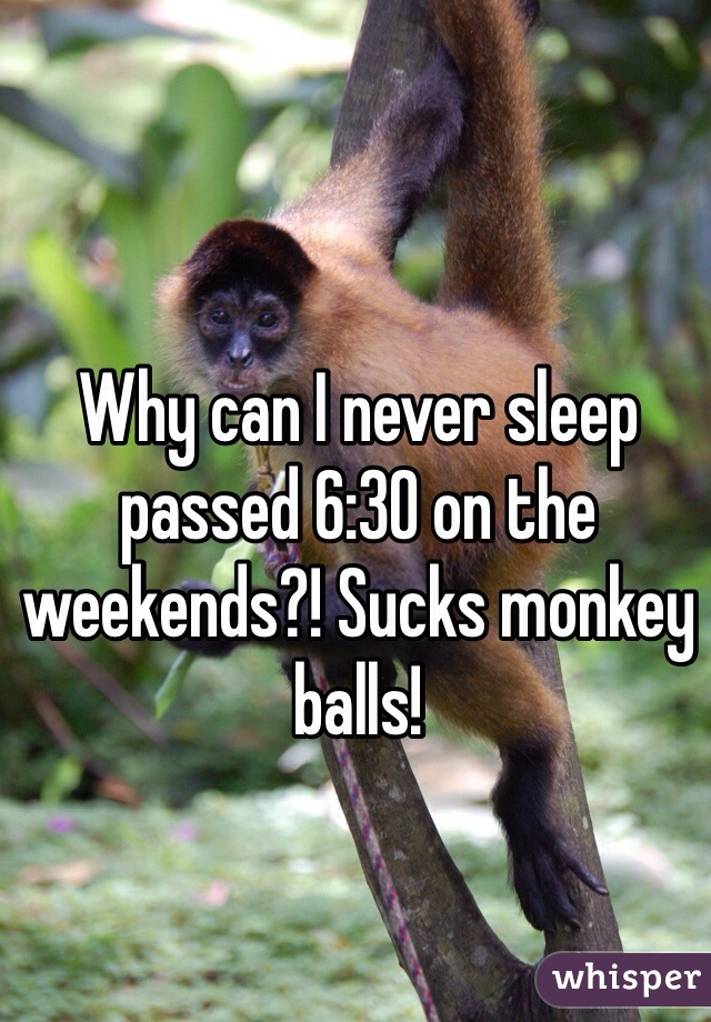 Why can I never sleep passed 6:30 on the weekends?! Sucks monkey balls! 