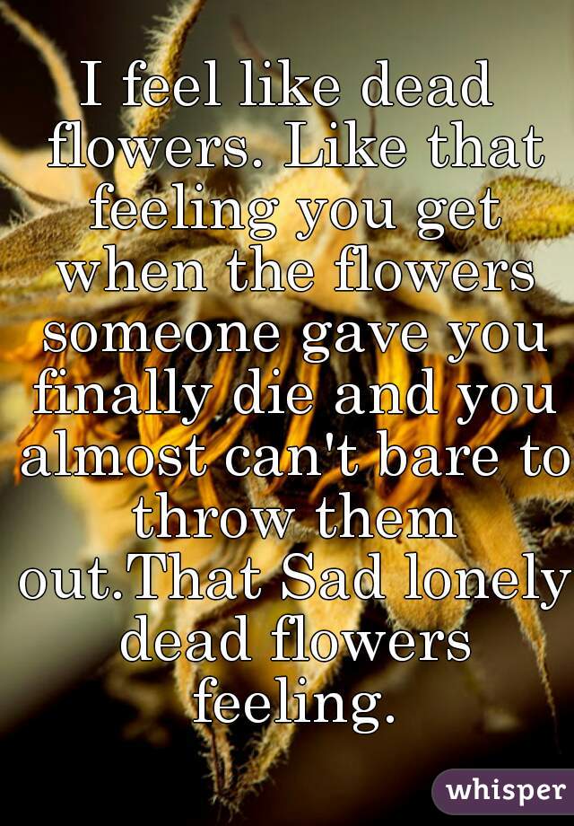I feel like dead flowers. Like that feeling you get when the flowers someone gave you finally die and you almost can't bare to throw them out.That Sad lonely dead flowers feeling.