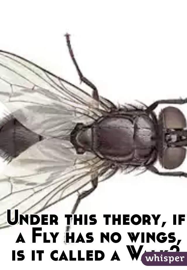 Under this theory, if a Fly has no wings, is it called a Walk? 