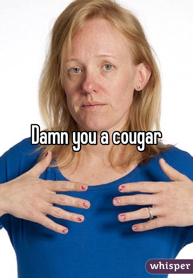 Damn you a cougar