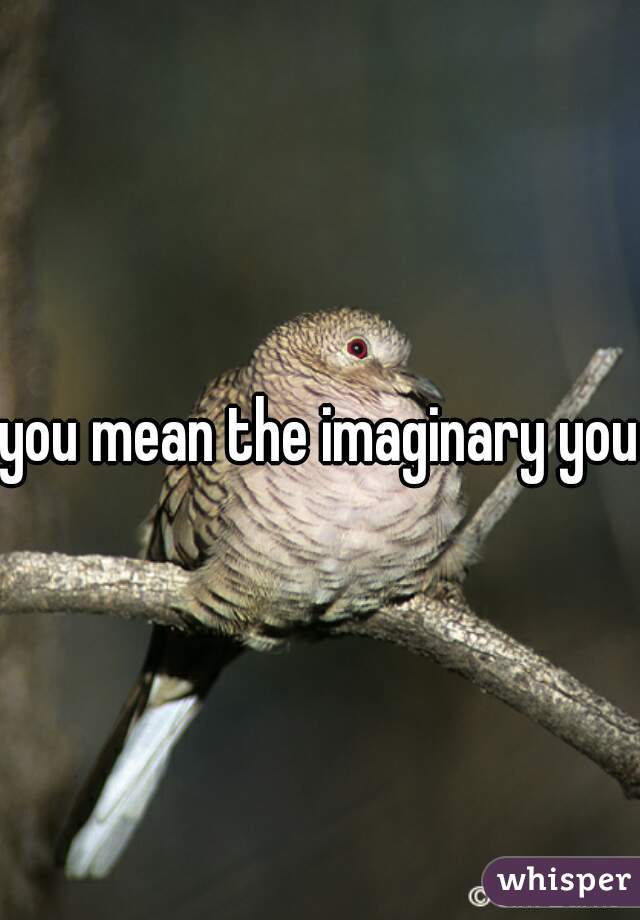 you mean the imaginary you?