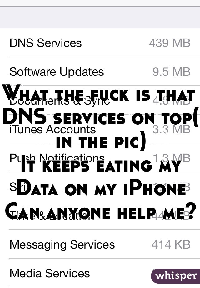 What the fuck is that DNS services on top( in the pic) 
It keeps eating my Data on my iPhone 
Can anyone help me?
