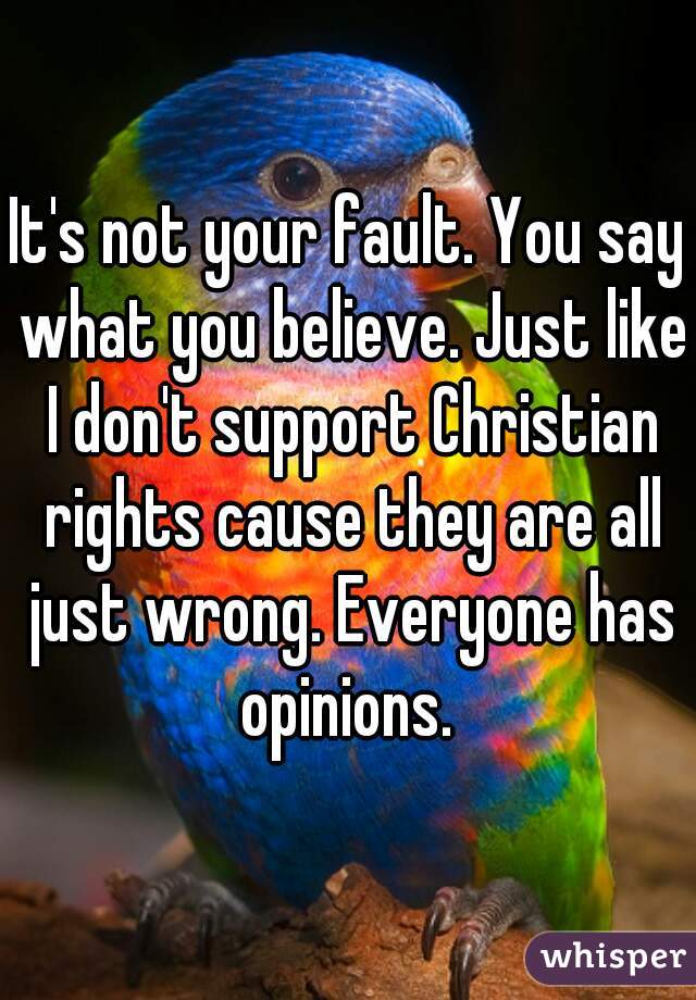 It's not your fault. You say what you believe. Just like I don't support Christian rights cause they are all just wrong. Everyone has opinions. 
