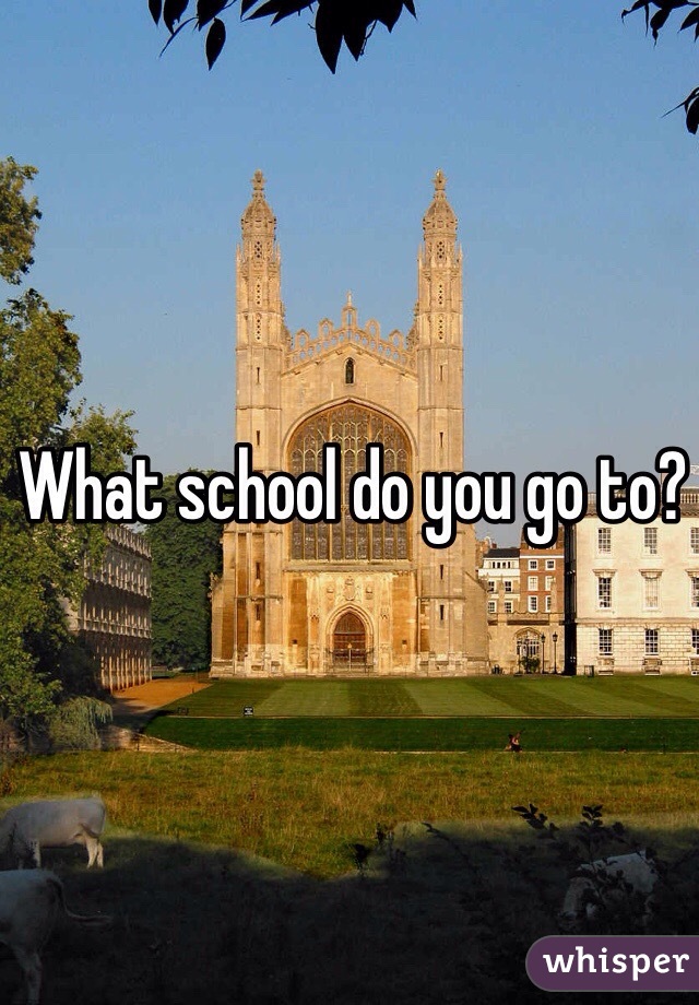 What school do you go to?