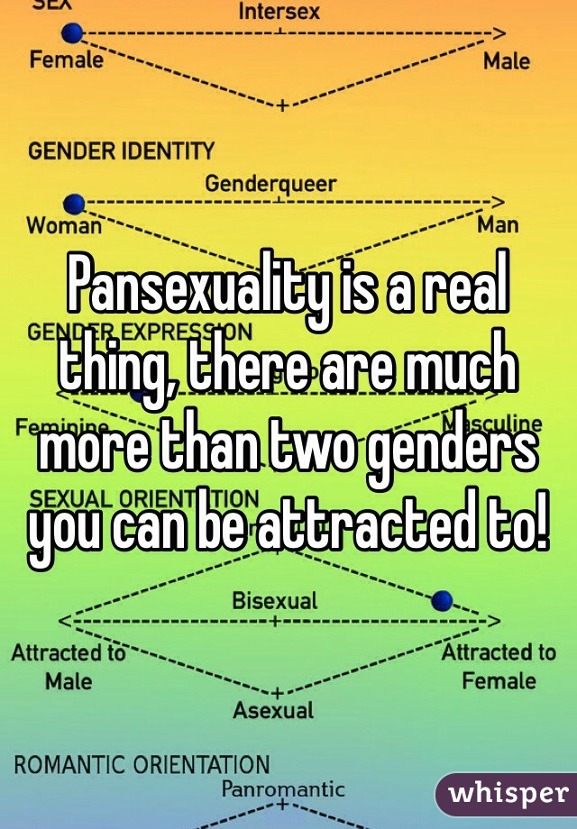 Pansexuality is a real thing, there are much more than two genders you can be attracted to!